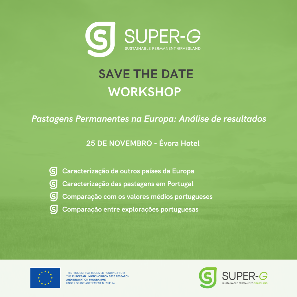 Workshop para produtores | SUPER-G