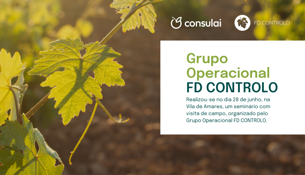 Grupo Operacional FD CONTROLO