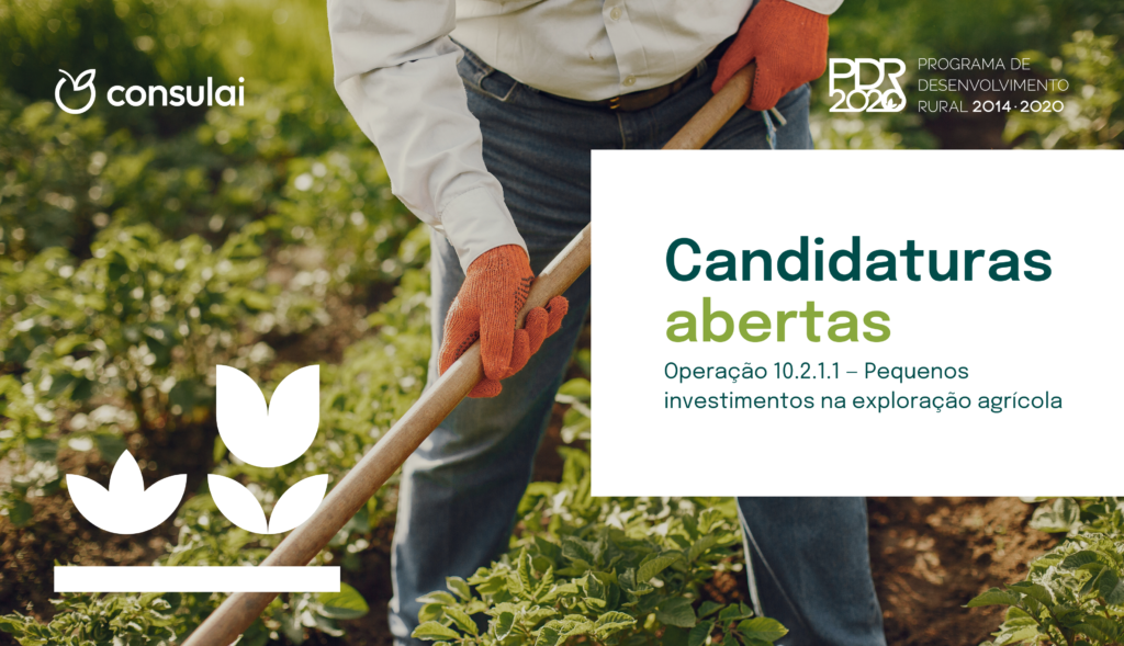 Pequenos investimentos na exploração agrícola