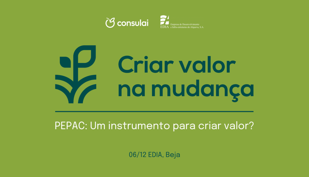 Criar Valor na Mudança
