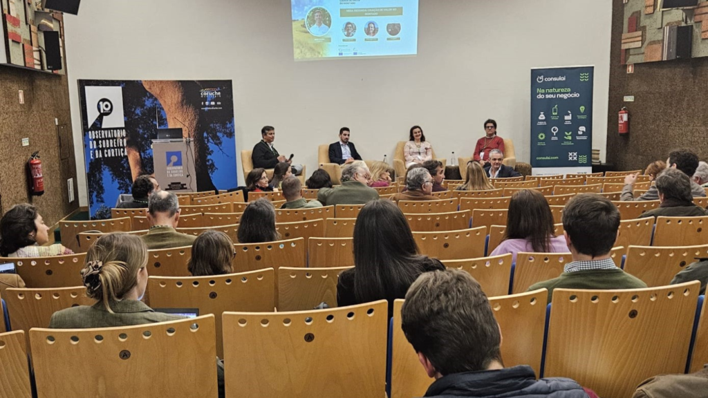 Jornadas Técnicas