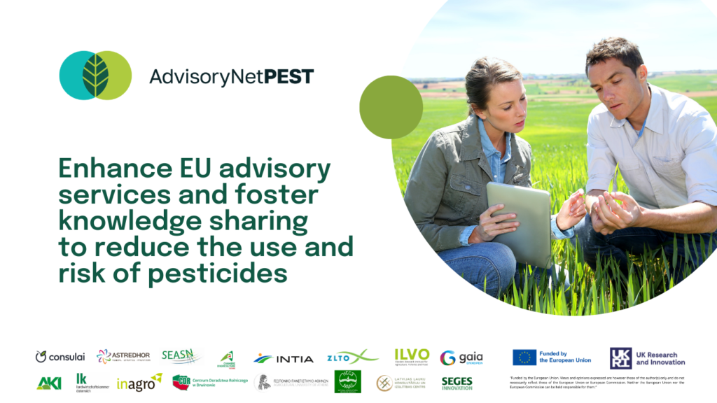 AdvisoryNetPEST Project