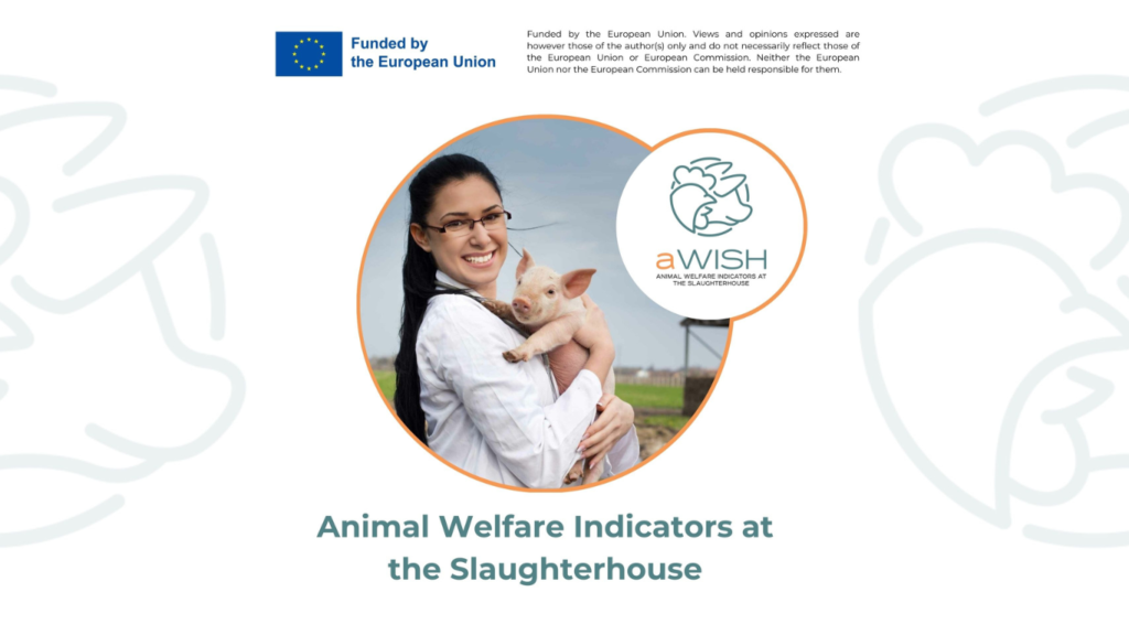aWISH Animal Welfare Indicators at the Slaughterhouse