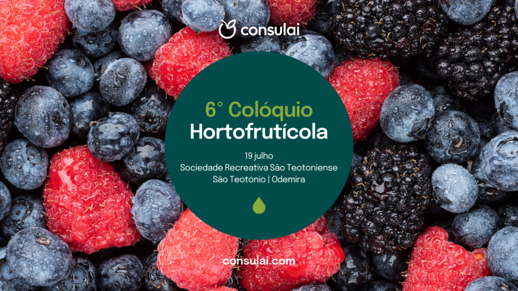 6º Colóquio Hortofrutícola Lusomorango