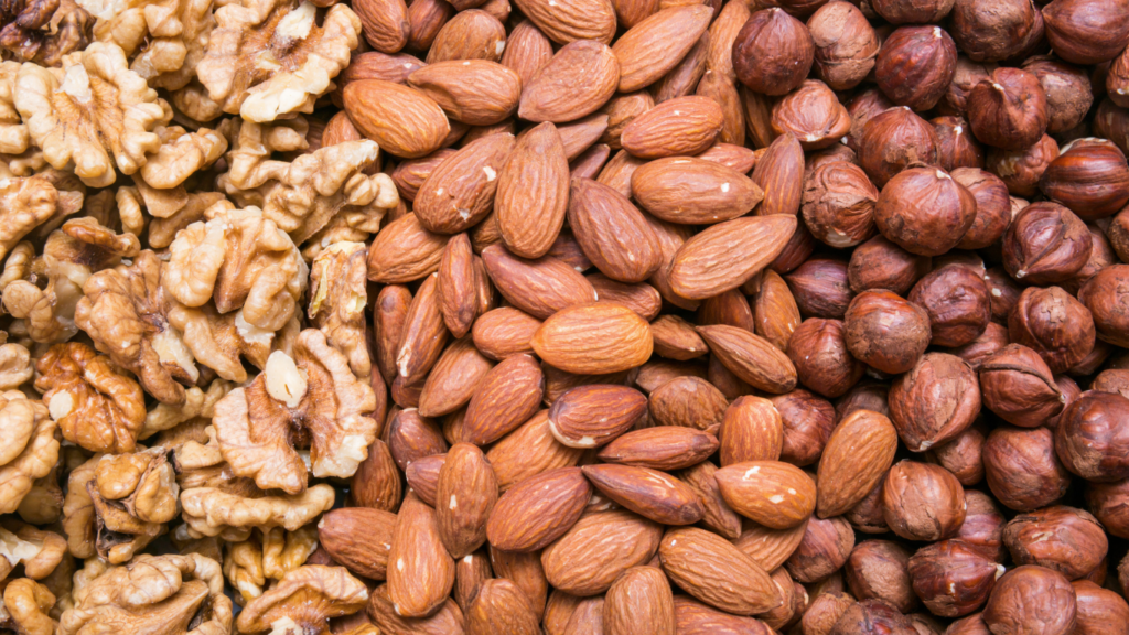 III Balanço de Campanha de Frutos Secos