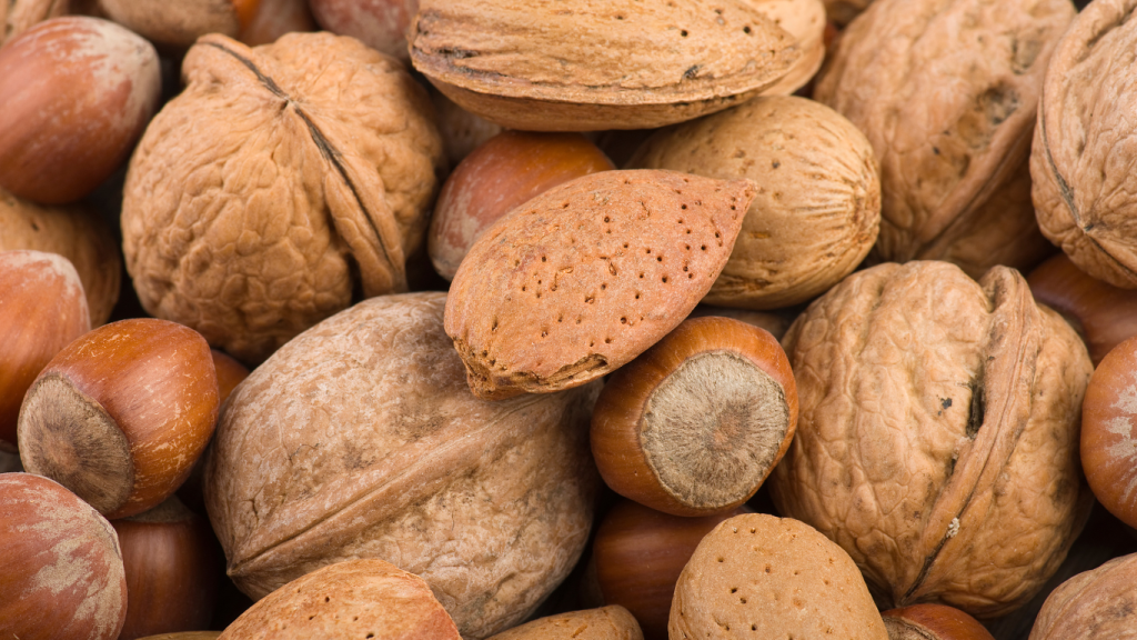 IV Balanço de Campanha de Frutos Secos