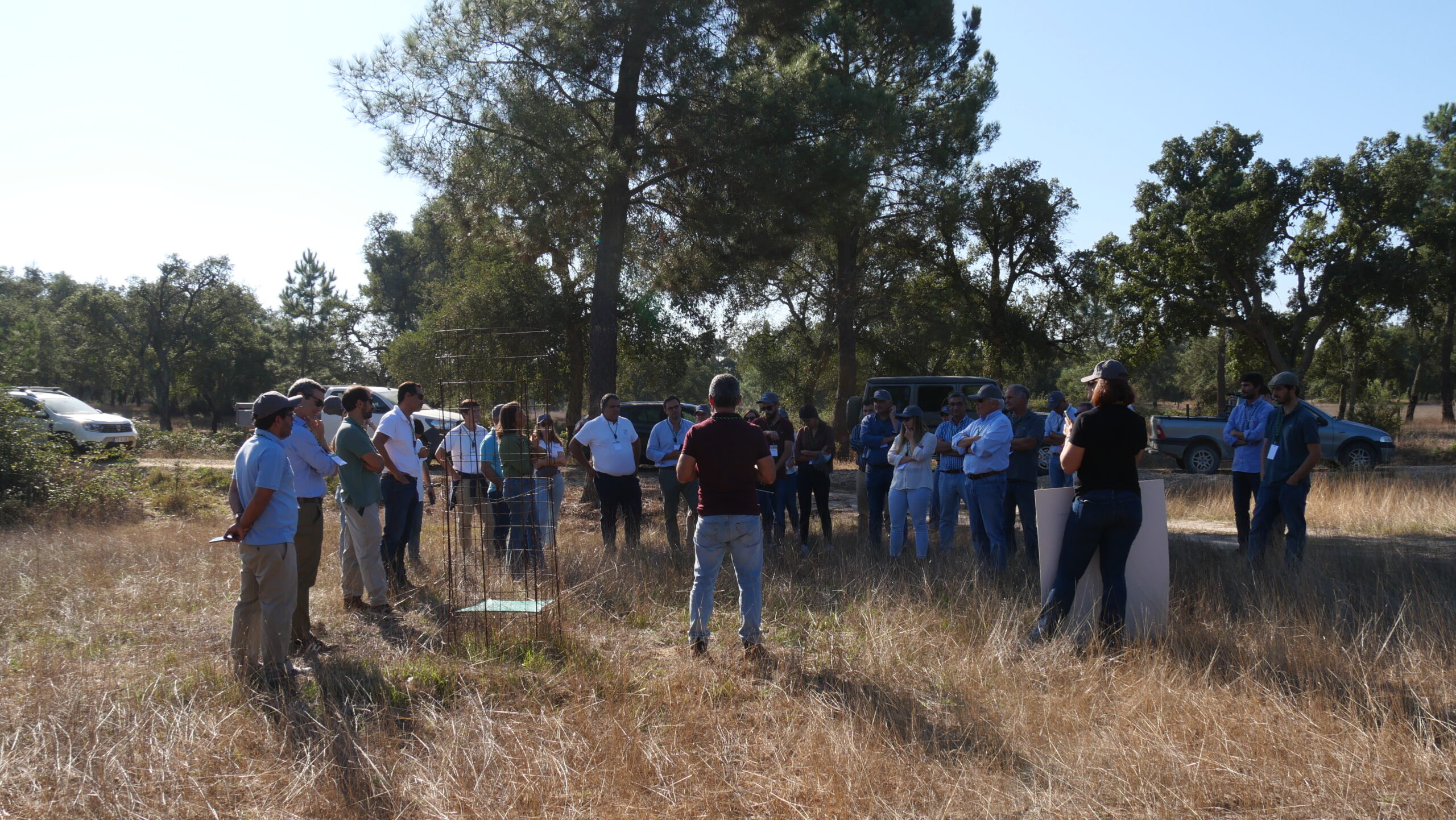 H2020 MIXED | Field day | Good practices in the Montado