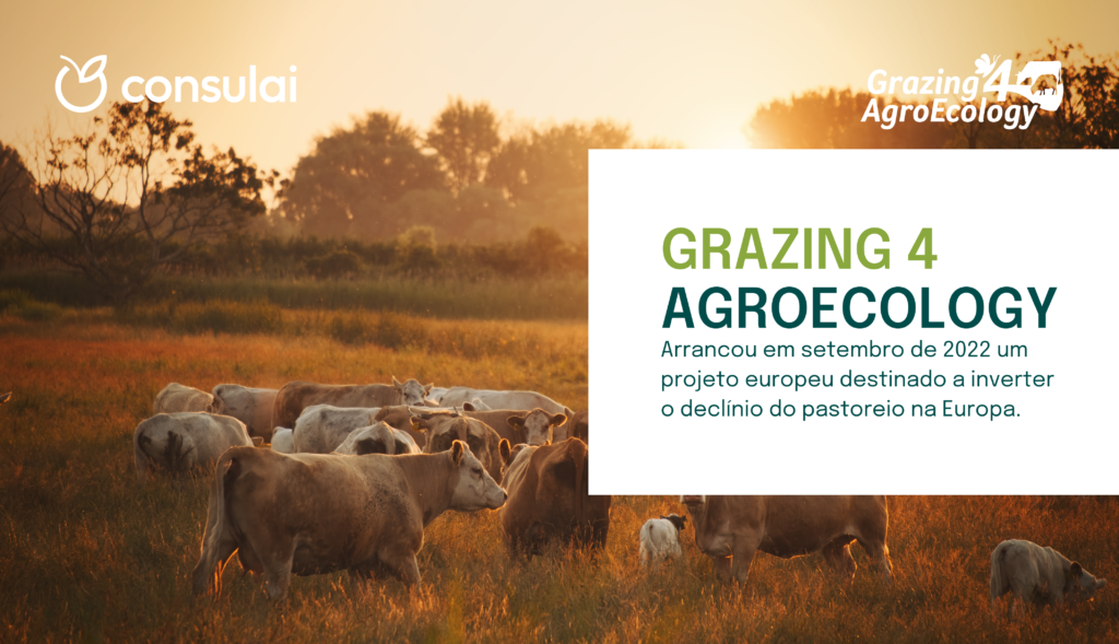 GRAZING 4 AGROECOLOGY
