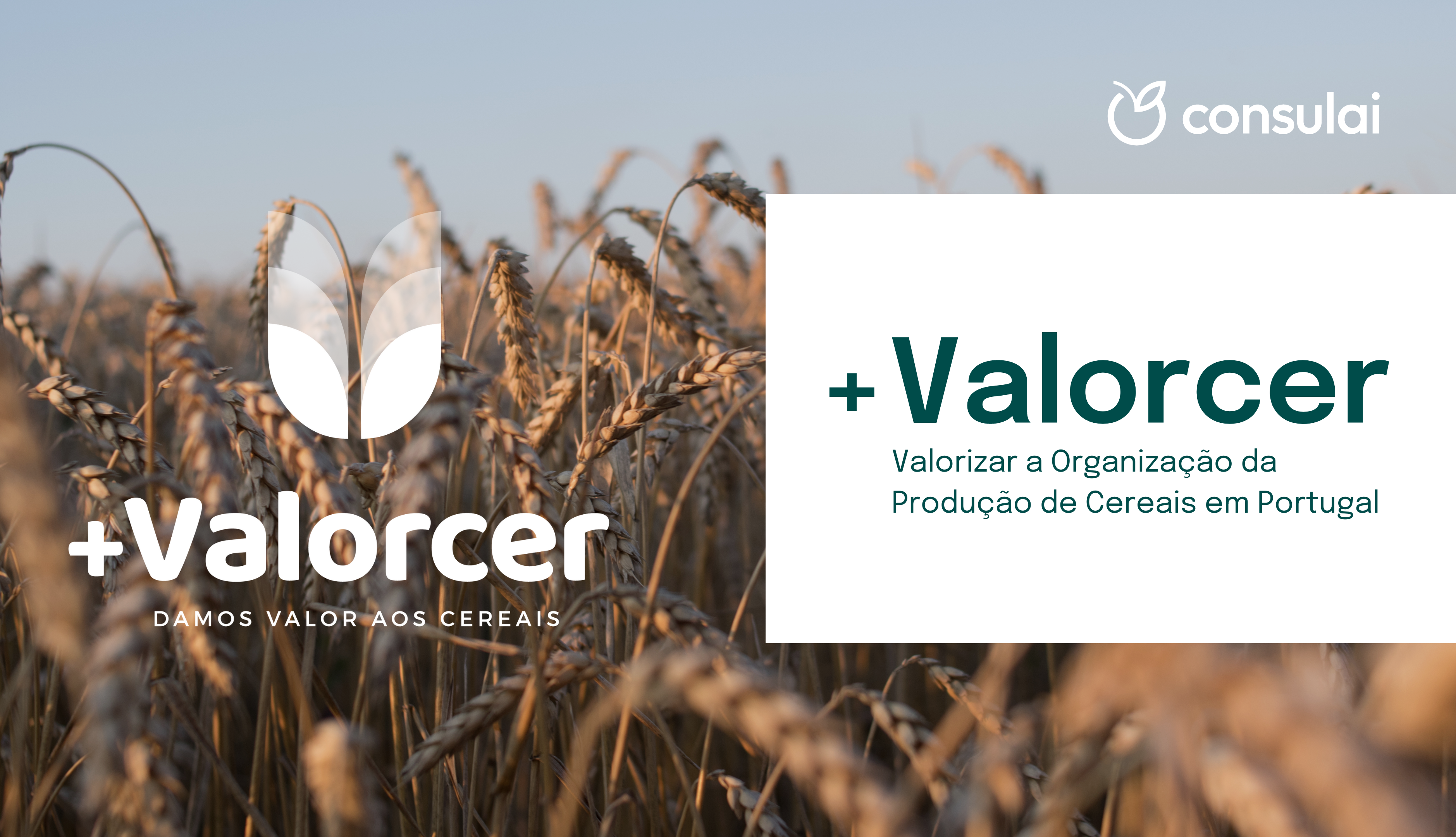 +VALORCER: Enhancing the organization of cereal production in Portugal