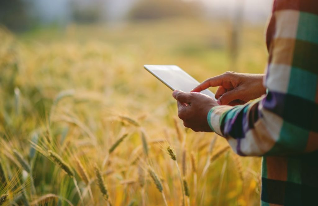 Uma Voz Para Comunicar a Agricultura e a Floresta