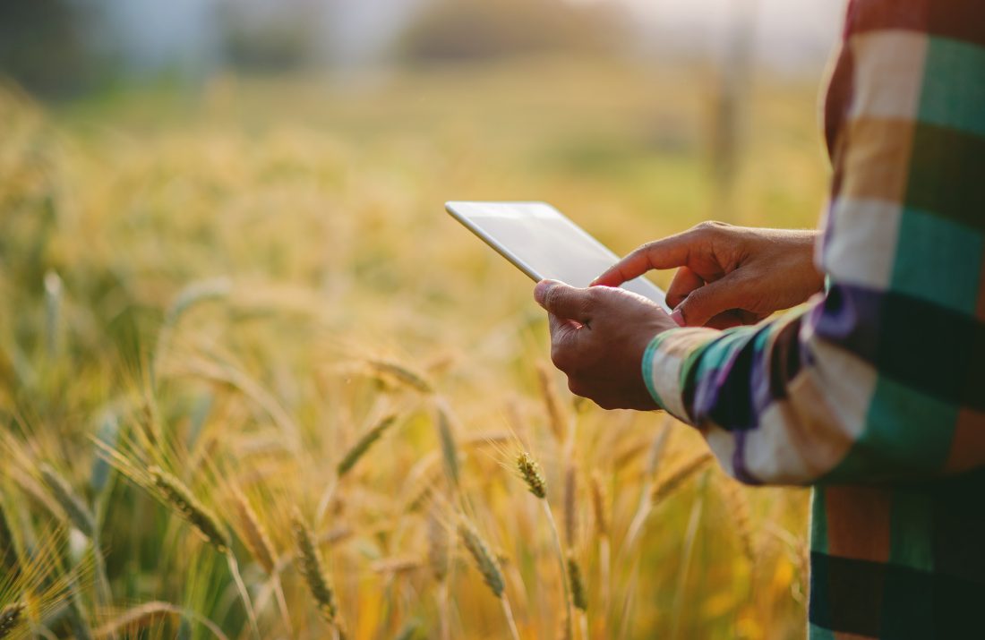 Uma Voz Para Comunicar a Agricultura e a Floresta