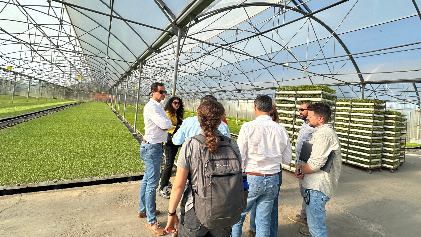 Lançamento da Rede DEMO.net: Uma Comunidade de Partilha e Troca de Experiências e Conhecimento Entre Organizações de Produtores