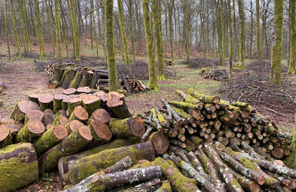 Apoio à Gestão Florestal e Redução da Carga Combustível