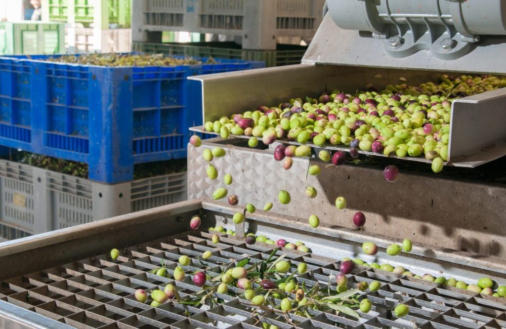 D.1.1.1.2 | Pequenos Invest. na Bioeconomia e Economia Circular | ROTA GUADIANA