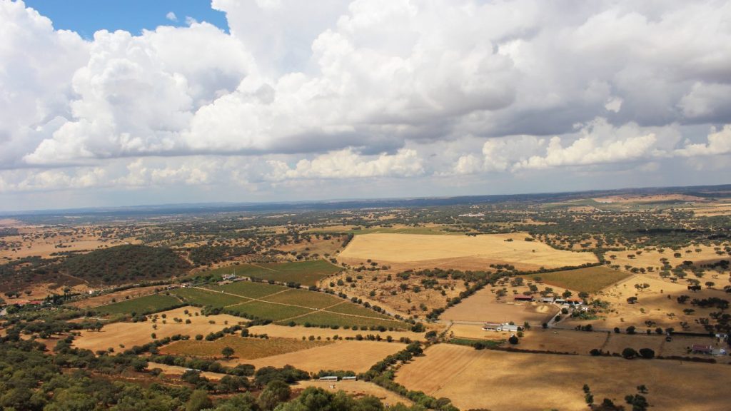 “Final Conference” do Projeto ClieNFarms