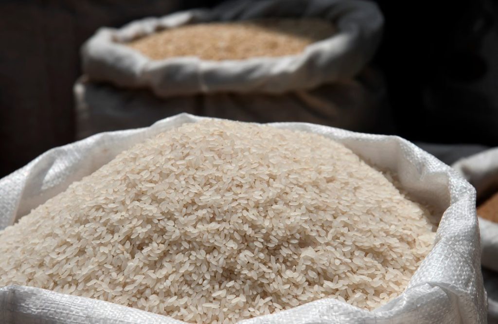 D.1.1.1.2 | Pequenos Investimentos na Bioeconomia e Economia Circular | RIBALOCAL