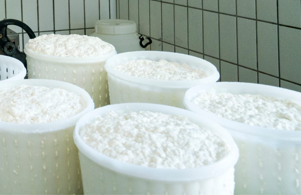 D.1.1.1.2 | Pequenos Investimentos na Bioeconomia e Economia Circular | ADD