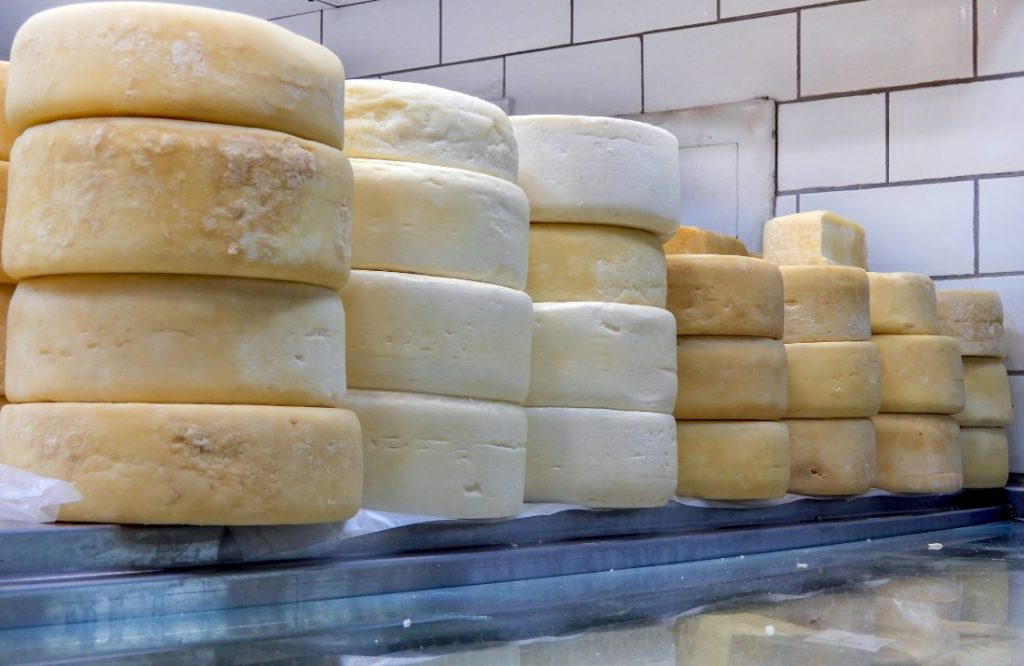 D.1.1.1.2 | Pequenos Inv. na Bioeconomia e Economia Circular | TERRAS DE SICÓ