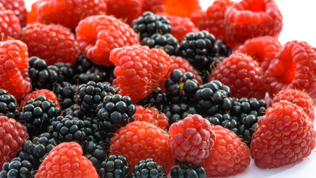 7.º Colóquio Hortofrutícola promovido pela Lusomorango