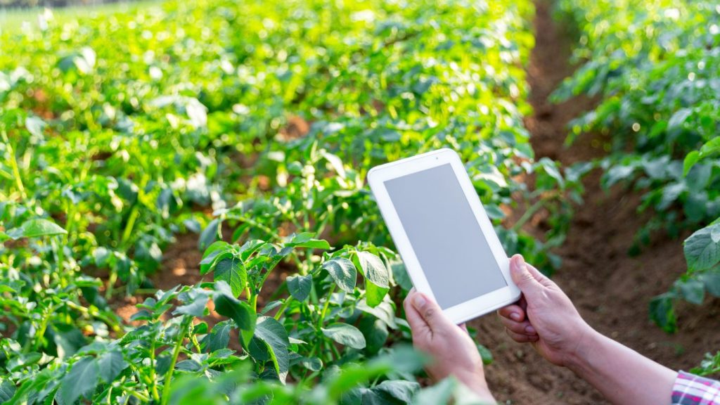 Práticas Agrícolas Sustentáveis