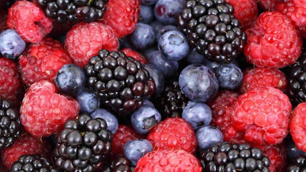 8.º Colóquio Hortofrutícola Lusomorango